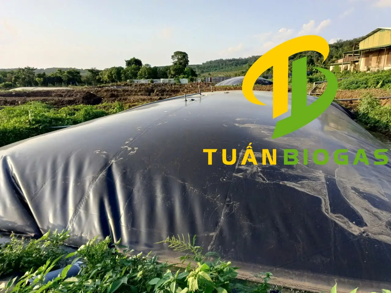 So sánh tuổi thọ túi biogas HDPE nguyên sinh và túi tự chế bao nilon