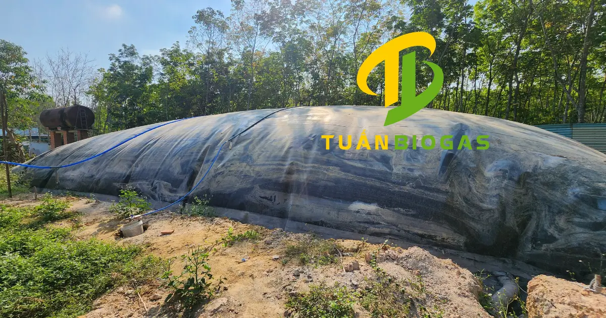 ui-biogas-trai-vit-700-khoi-tai-binh-duong