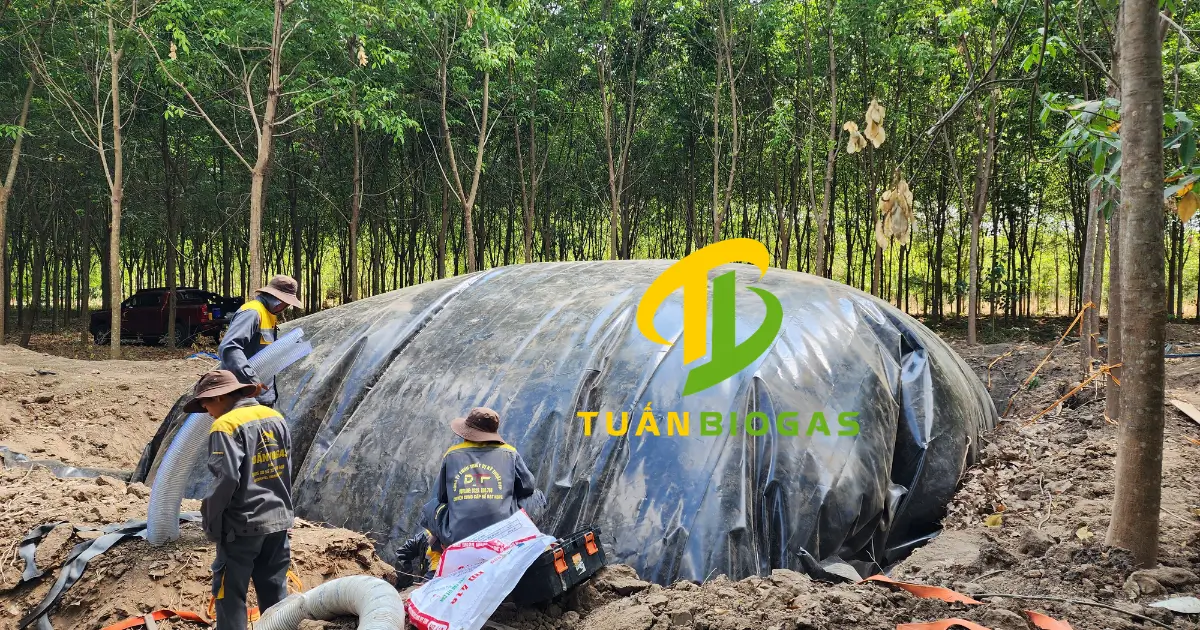 lắp đặt túi