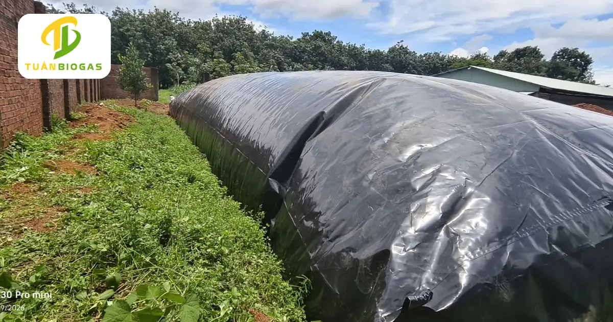 Túi biogas vuông phơi ngoài trời nắng gắt 38 độ C vòm khí căng tròn
