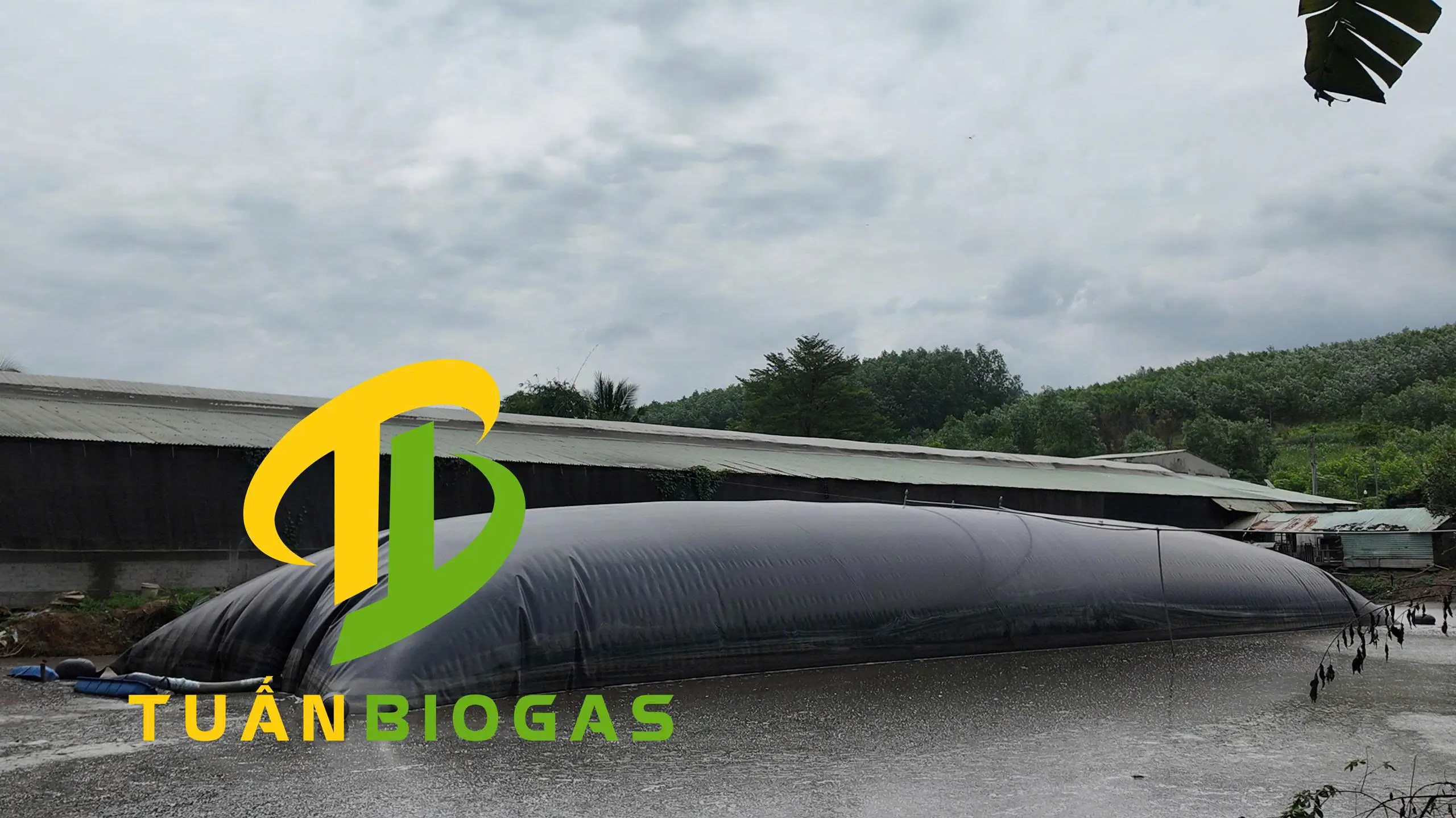 Kỹ thuật viên đo mực nước ao trước khi tư vấn khổ túi biogas phù hợp