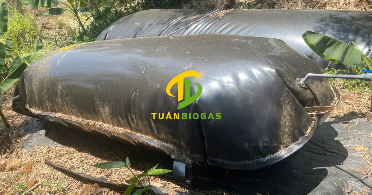Mặt bằng lắp đặt túi trữ khí biogas phẳng phiu, sạch sỏi đá và rào chắn cẩn thận