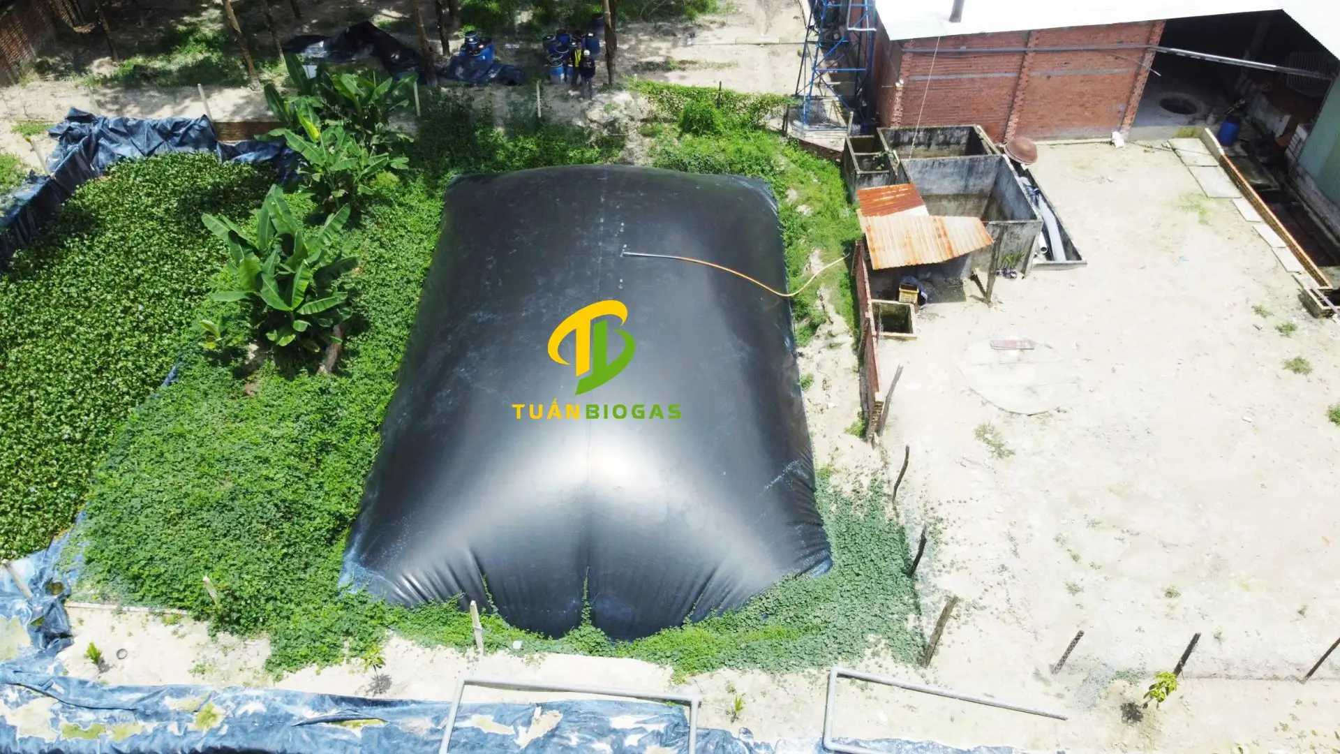 Xu Hướng Sử Dụng Túi Biogas Để Chạy Máy Phát Điện: Giải Pháp Năng Lượng Xanh Tương Lai Cho Trang Trại